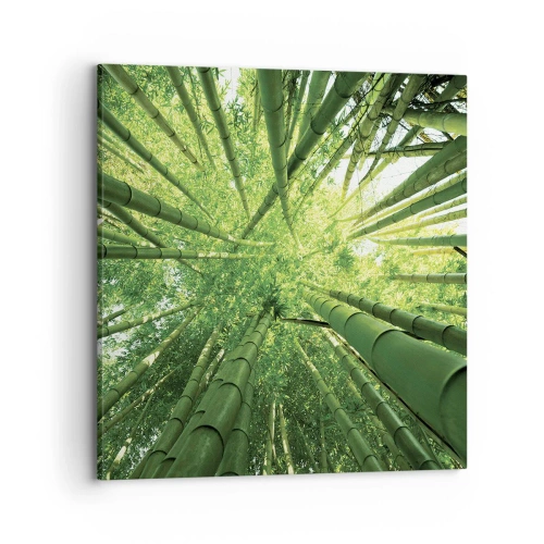 Quadro em tela - Em um bosque de bambu - 70x70 cm