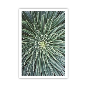 Pôster - Nasce uma estrela - 70x100 cm