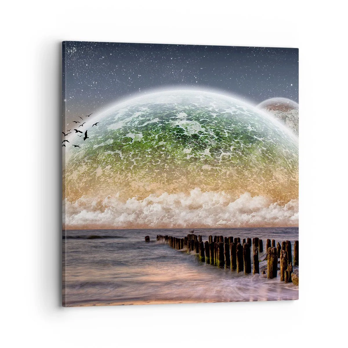 Quadro em tela - E o mundo emergiu da água - 70x70 cm