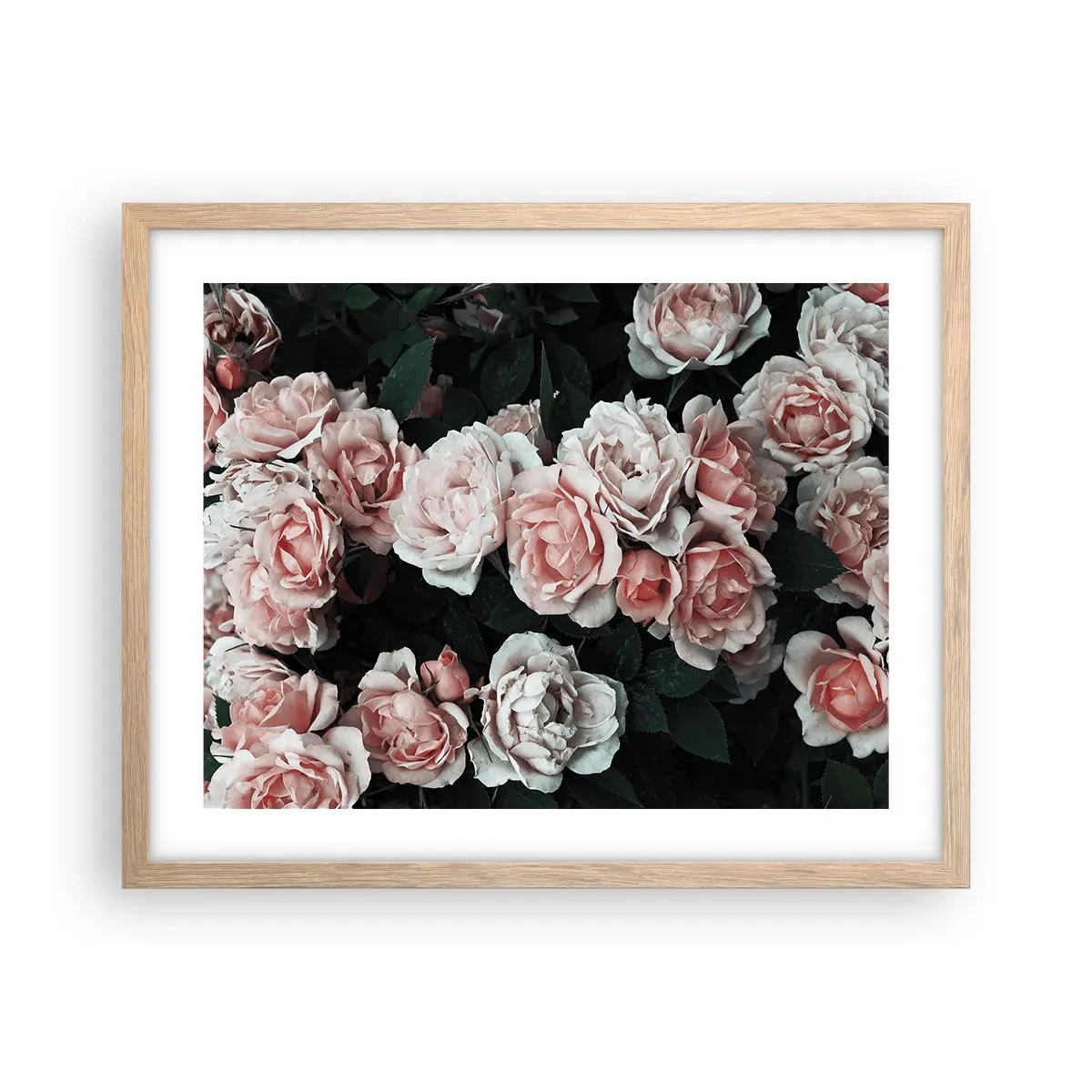 Pôster com moldura de carvalho claro - Conjuntos de rosas - 50x40 cm