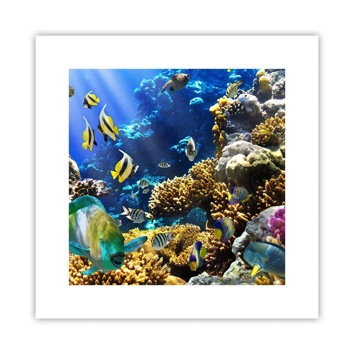 Pôster - Tráfego intenso no percurso de férias - 30x30 cm