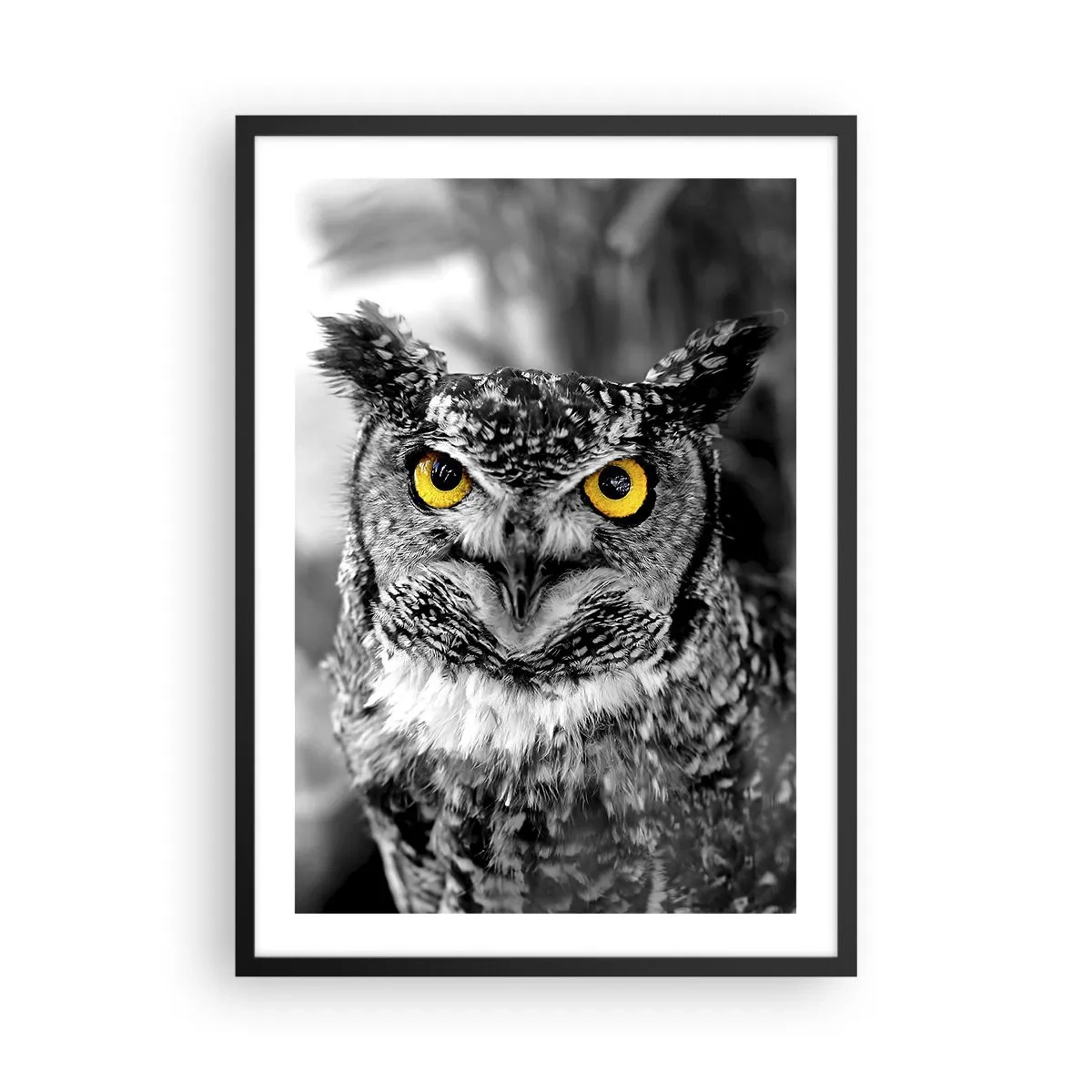 Pôster com moldura preta - Uma coruja com olhos amarelos em um fundo preto e branco - 50x70cm - Nada pode ser escondido - Decoração de parede moderna para a sala de estar e quarto ARTTOR