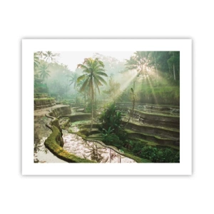 Pôster - Crescer ao sol - 50x40 cm