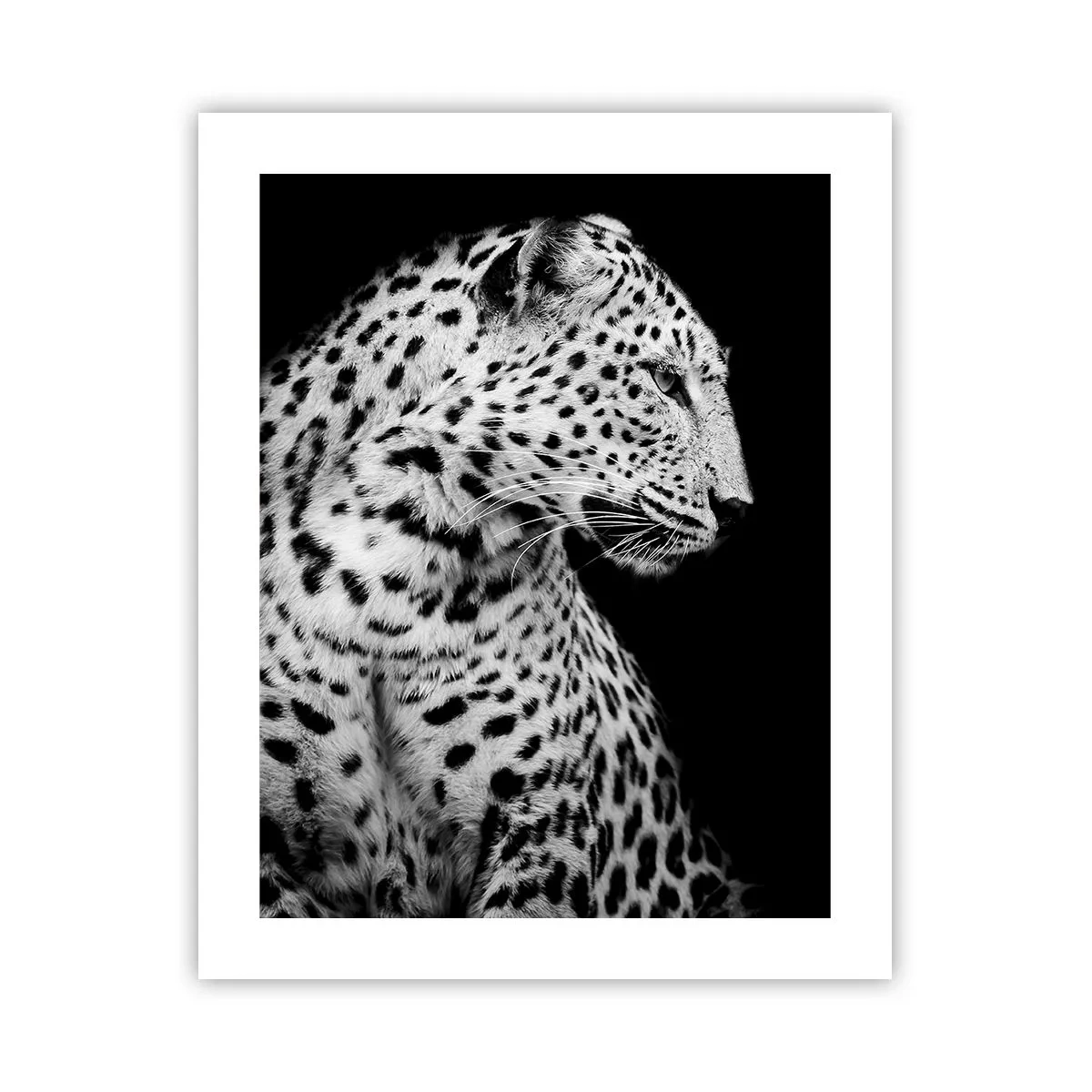 Pôster - Perfil direito perfeito! - 40x50 cm