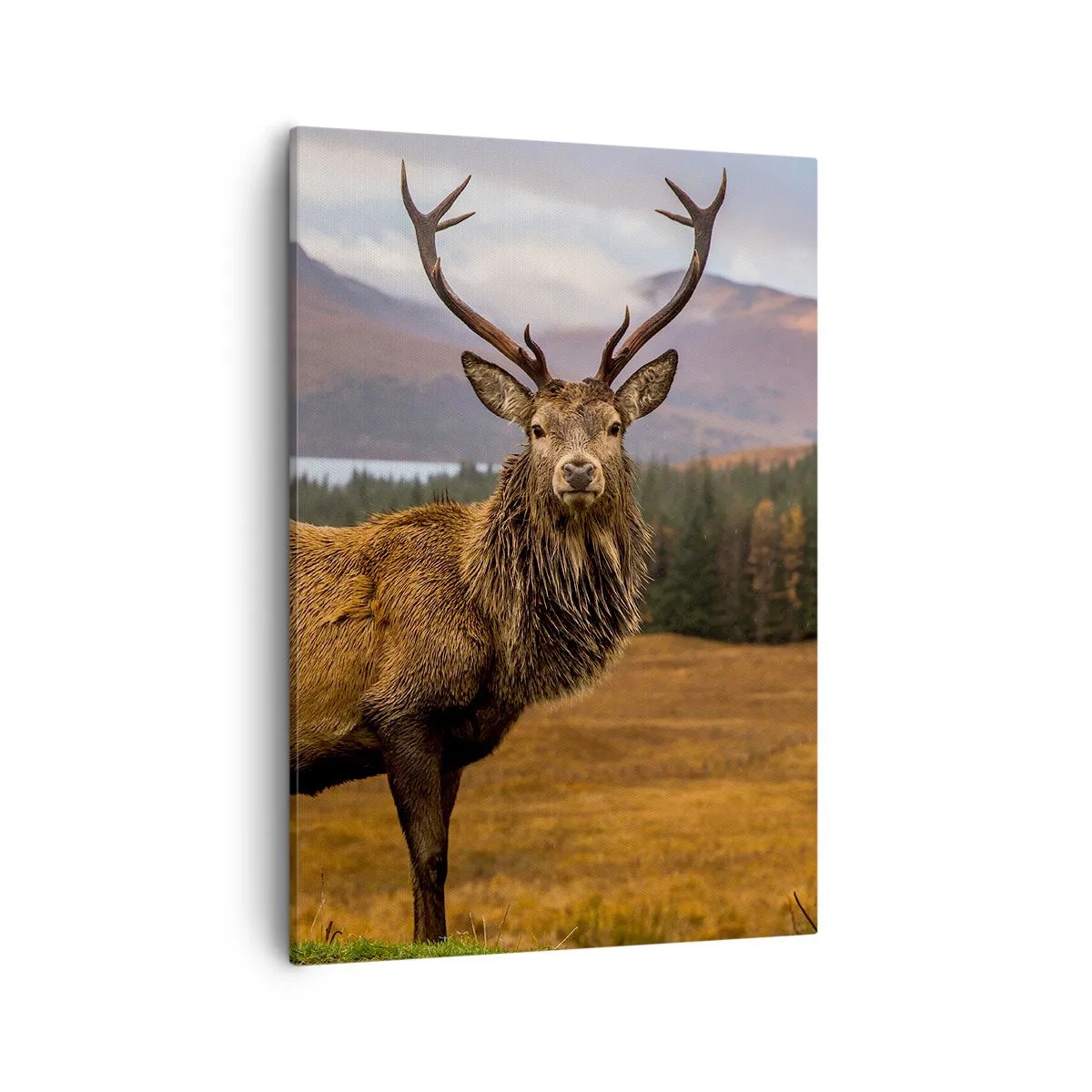 Quadro em tela - A majestade da natureza - 50x70 cm