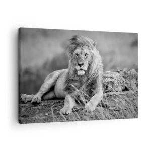 Quadro em tela - Leão descansando sobre uma rocha em estilo monocromático - 70x50cm - Sesta real - Decoração de parede moderna para a sala de estar e quarto ARTTOR