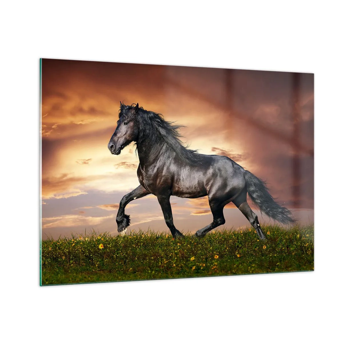 Quadro em vidro - O Príncipe Negro - 100x70 cm