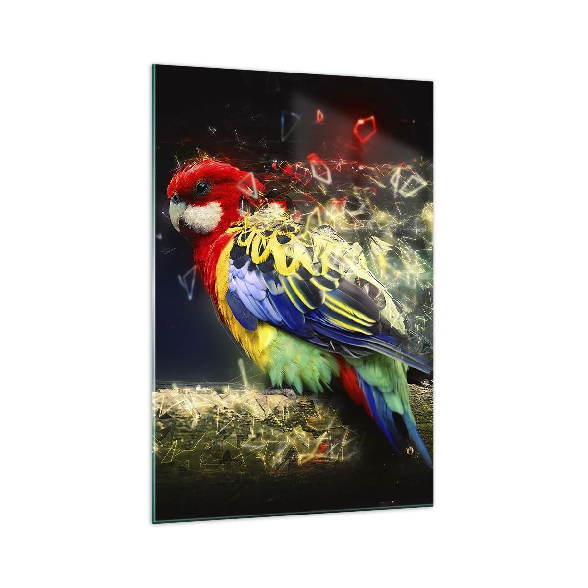 Quadro em vidro - O mensageiro do Brilho - 70x100 cm