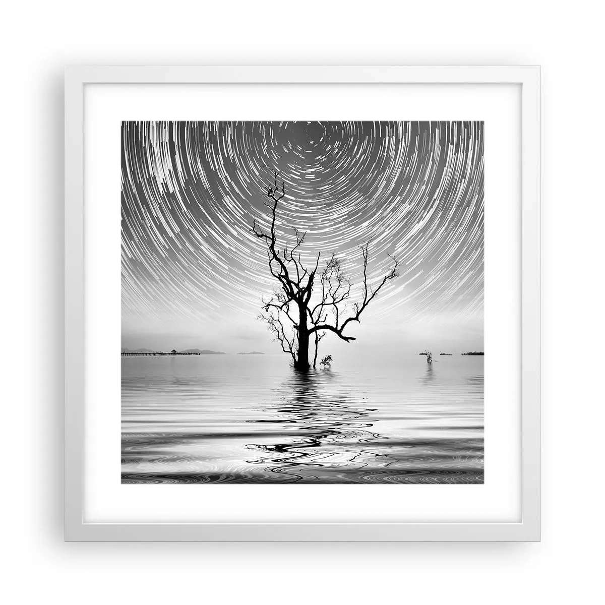 Pôster em moldura branca - Sinfonia da natureza - 40x40 cm