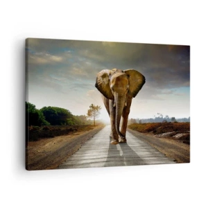 Quadro em tela - Um elefante caminhando por uma estrada através de uma paisagem ao pôr do sol - 70x50cm - Não faz parte da composição da porcela - Decoração de parede moderna para a sala de estar e quarto ARTTOR