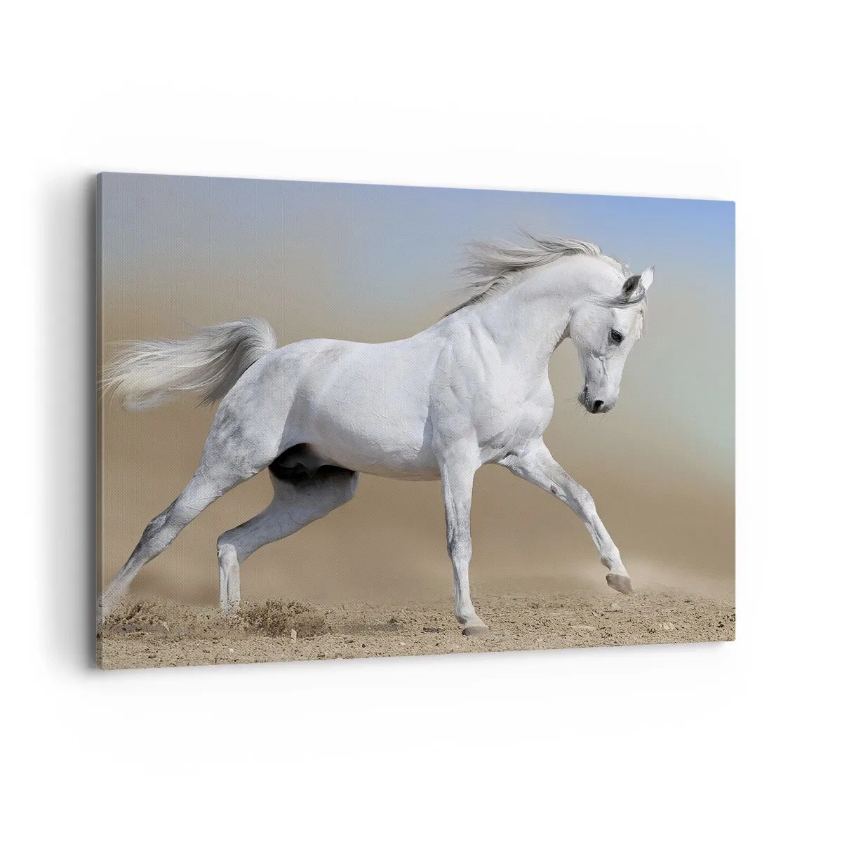Quadro em tela - O mais belo conto de fadas árabe - 100x70 cm