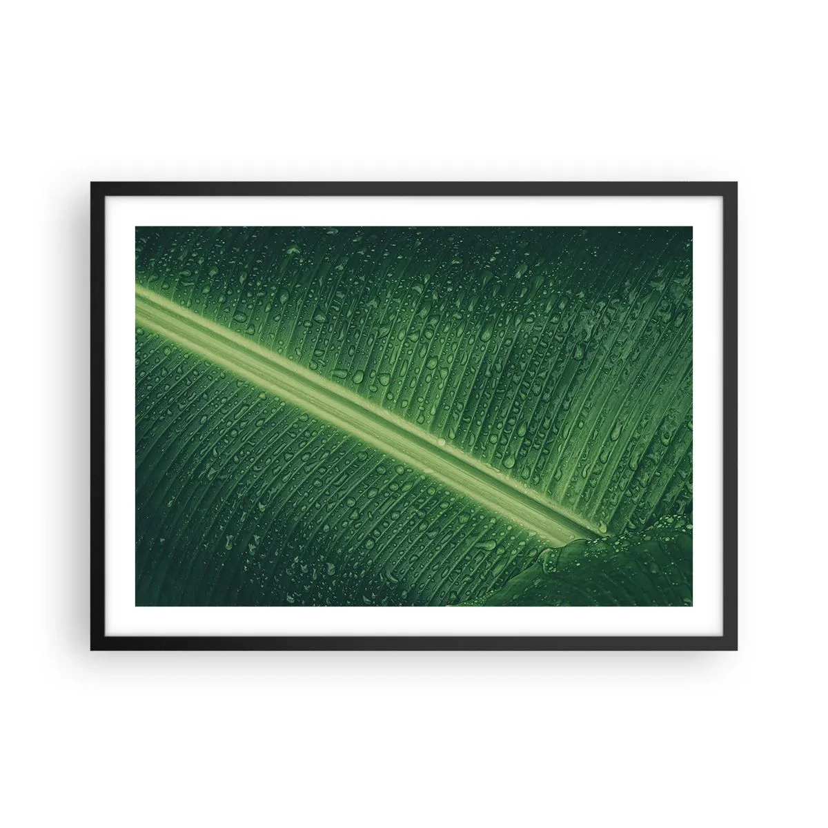 Pôster com moldura preta - A estrutura da vegetação - 70x50 cm