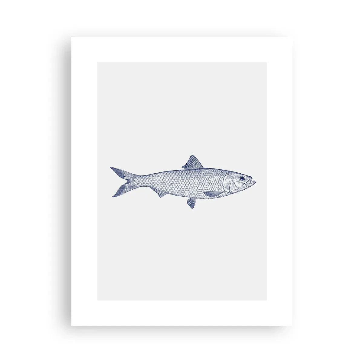 Pôster - Saudações dos mares do norte - 30x40 cm