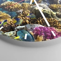 Mostrador com traços