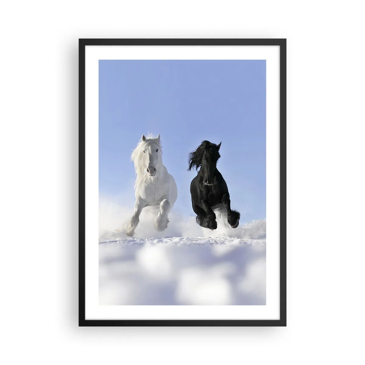Pôster com moldura preta - Um cavalo branco e preto galopando na neve - 50x70cm - Galope preto e branco - Decoração de parede moderna para a sala de estar e quarto ARTTOR