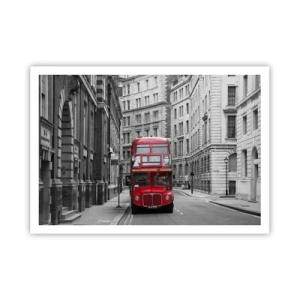 Pôster - A vida quotidiana não deve ser cinzenta - 100x70 cm