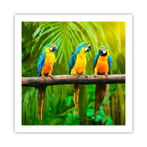 Pôster - E ouviste dizer que ela...? - 60x60 cm