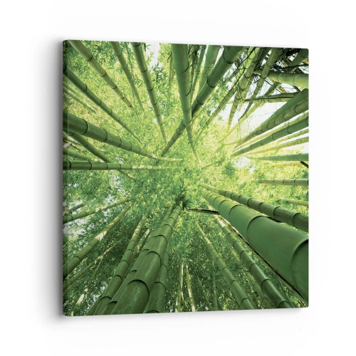 Quadro em tela - Em um bosque de bambu - 30x30 cm