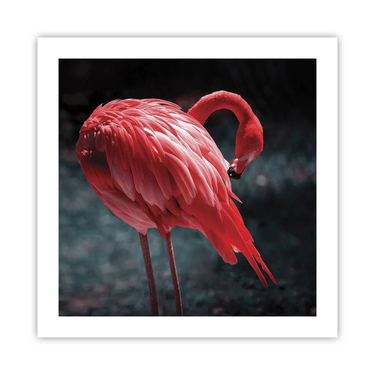 Pôster - Poema carmesim da natureza - 50x50 cm