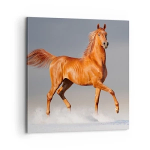 Quadro em tela - Graça Dançante - 60x60 cm