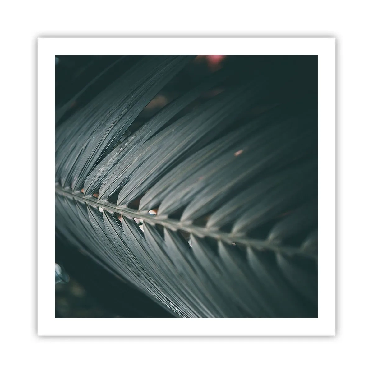 Pôster - A precisão da natureza - 60x60 cm