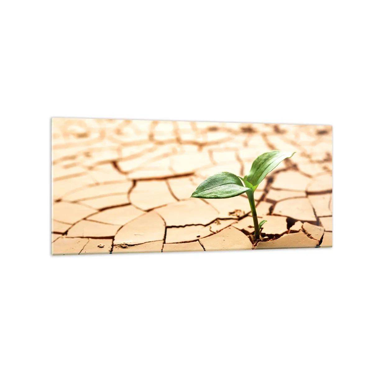 Quadro em vidro - A força indomável da vida - 120x50 cm