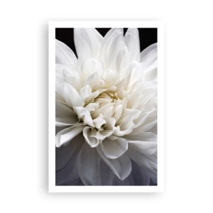 Pôster - Manhã da noiva - 61x91 cm