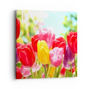 Quadro em tela - Somos nós, as cores de maio! - 40x40 cm