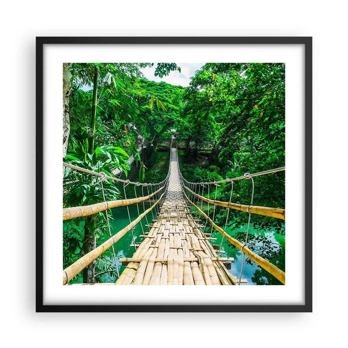 Pôster com moldura preta - Ponte de macacos sobre a vegetação - 50x50 cm