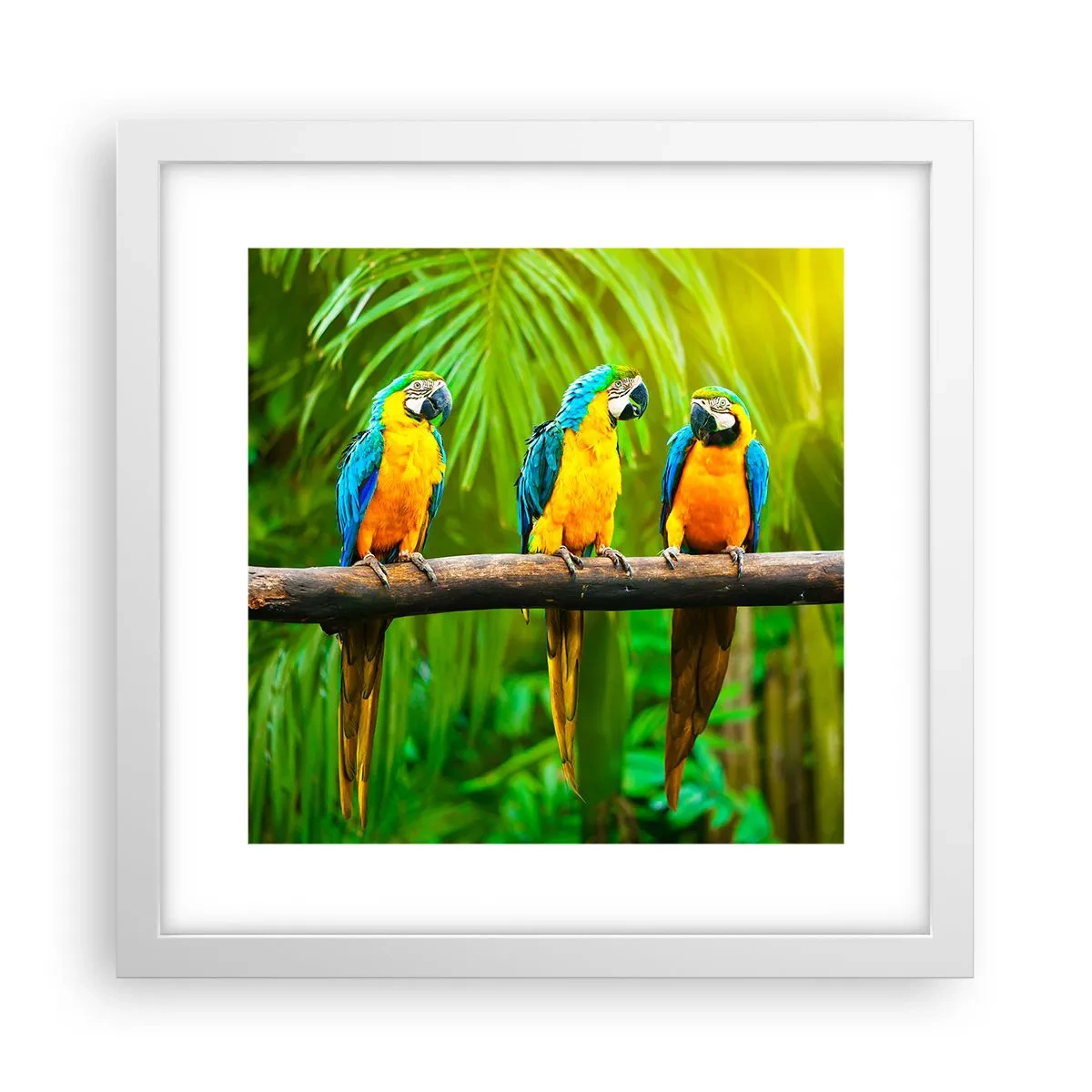 Pôster em moldura branca - E ouviste dizer que ela...? - 30x30 cm