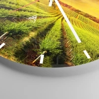 Mostrador com traços