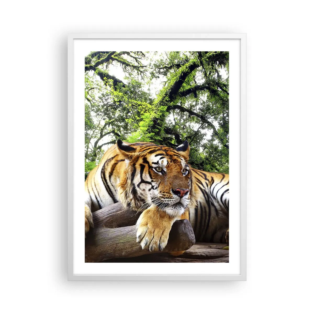 Pôster em moldura branca - Com os melhores cumprimentos - 50x70 cm