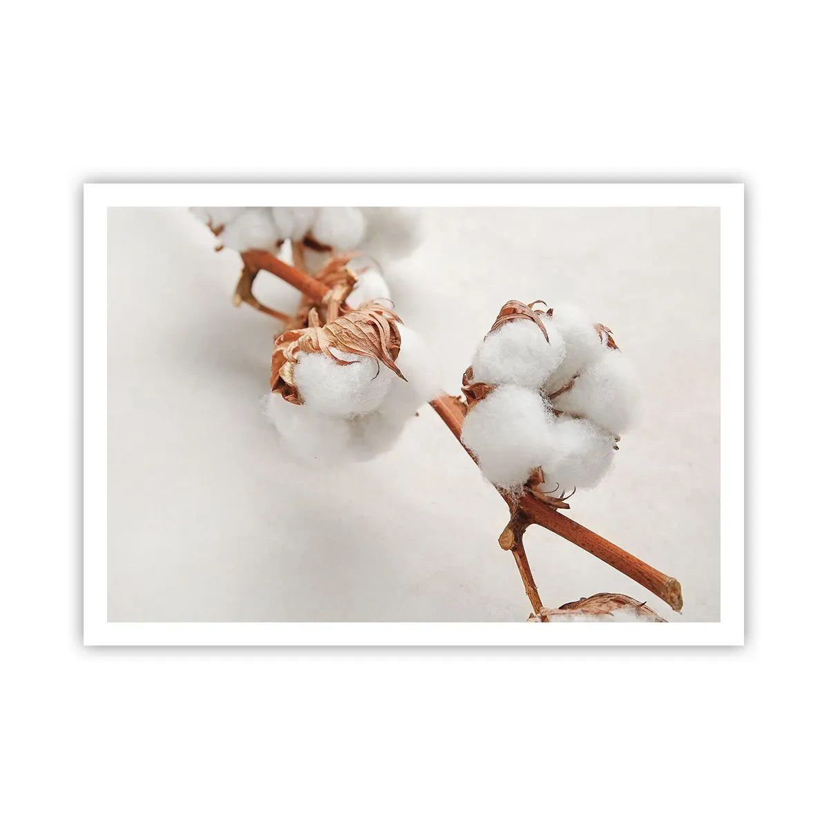 Pôster - Apenas acaricie - 100x70 cm