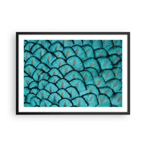 Pôster com moldura preta - A grande gala de penas - 70x50 cm