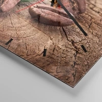 Mostrador com traços