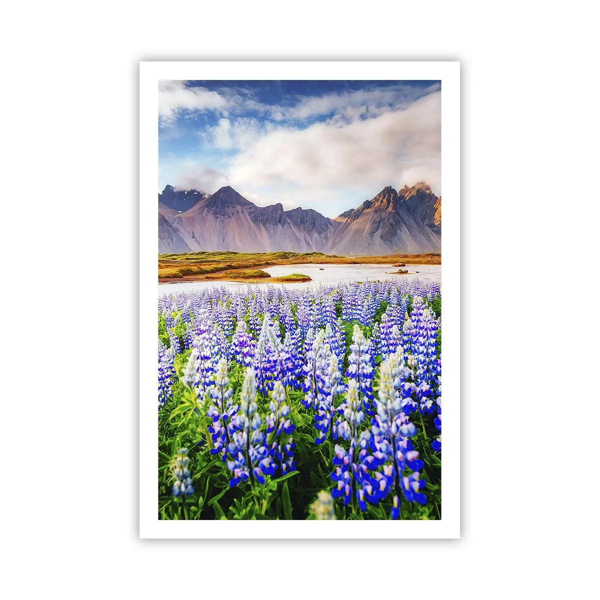 Pôster - Força e severidade ao lado da suavidade - 61x91 cm