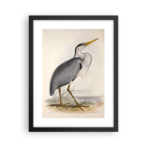 Pôster com moldura preta - Graça de garça - 30x40 cm
