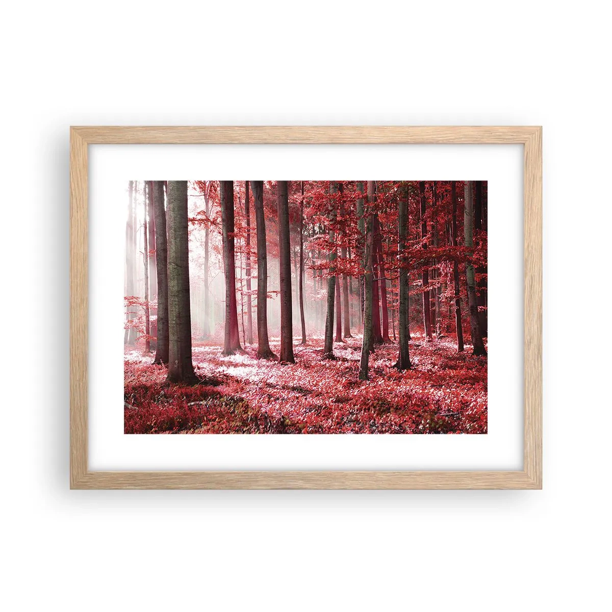 Pôster com moldura de carvalho claro - O vermelho também é belo - 40x30 cm