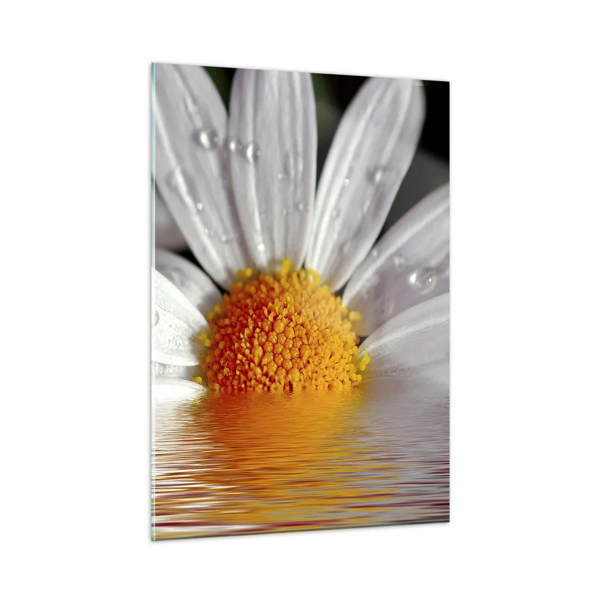 Quadro em vidro - As margaridas do sol nascente - 50x70 cm