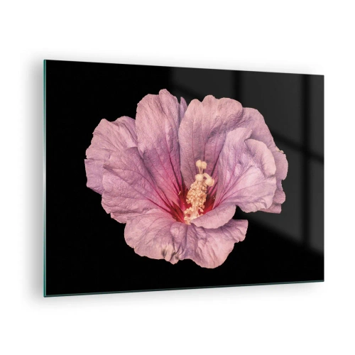 Quadro em vidro - Close-up de uma flor de hibisco rosa sobre um fundo preto - 70x50cm - Direto para o coração - Decoração de parede moderna para a sala de estar e quarto ARTTOR