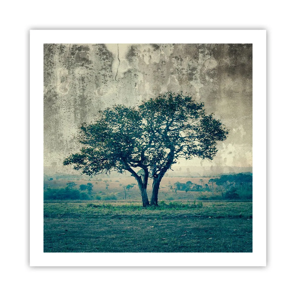 Pôster - Uma macieira num prado azul? - 60x60 cm