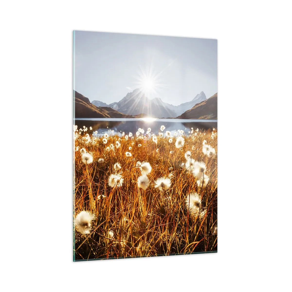 Quadro em vidro - Dureza da rocha, suavidade da relva - 50x70 cm