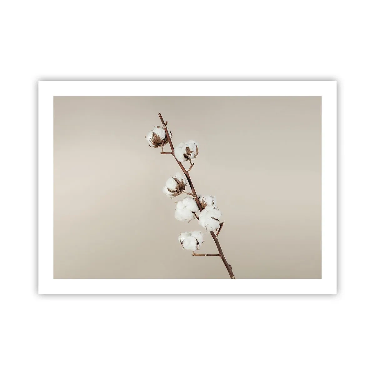 Pôster - Na fonte da suavidade - 70x50 cm