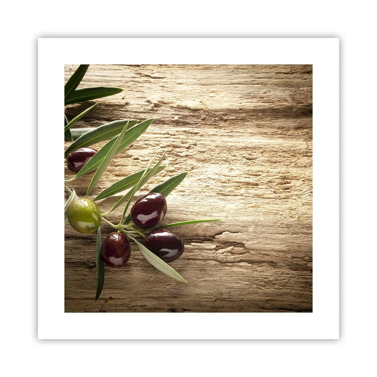 Pôster - Direto da natureza - 40x40 cm