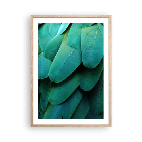 Pôster com moldura de carvalho claro - Precisão de papagaio - 50x70 cm