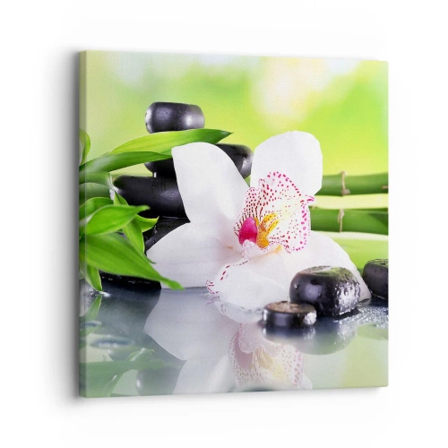 Quadro em tela - Frescor e vigor - 30x30 cm