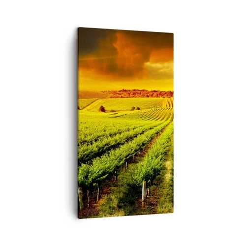 Quadro em tela - Sob o sol australiano - 45x80 cm