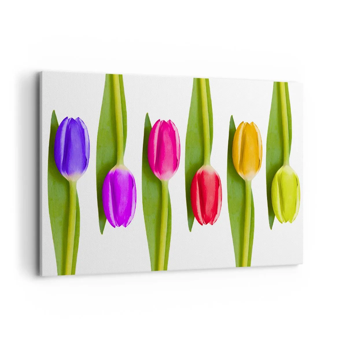 Quadro em tela - Composição arco-íris - 120x80 cm