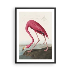 Pôster com moldura preta - Um flamingo rosa em uma paisagem natural - 50x70cm - Uma criatura surpreendente - Decoração de parede moderna para a sala de estar e quarto ARTTOR