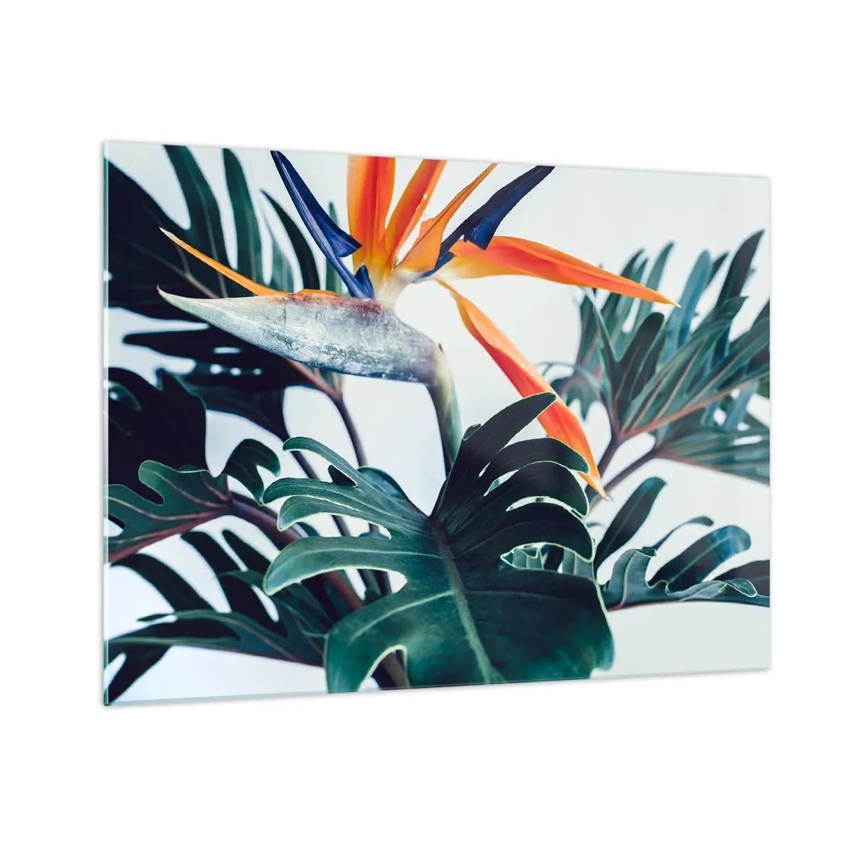 Quadro em vidro - Planta exótica com flor ave do paraíso - 70x50cm - Arbusto de passarinho - Decoração de parede moderna para a sala de estar e quarto ARTTOR